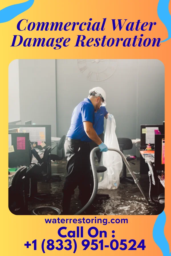 Commercial Water Damage Restoration in Nespelem, WA