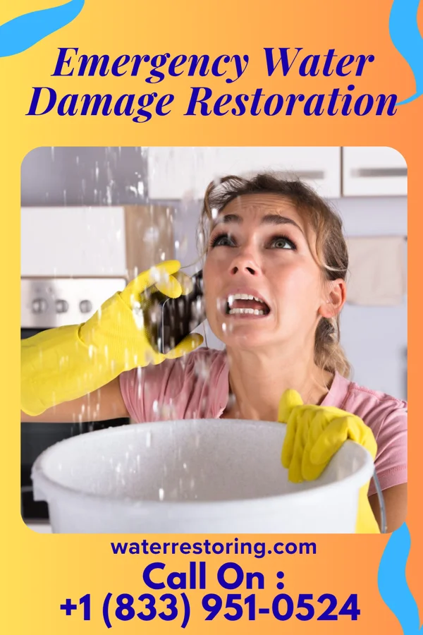 Emergency Water Damage Restoration in Nespelem, WA