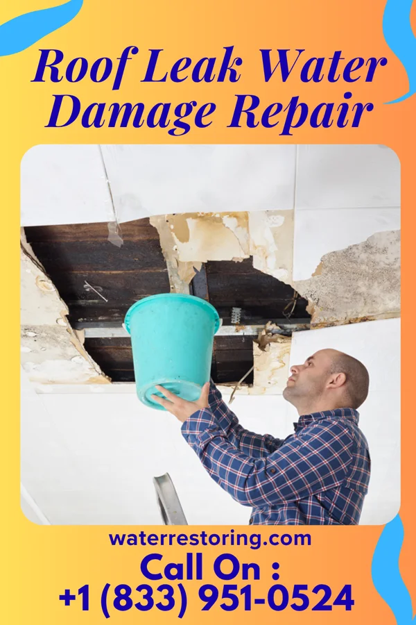 Roof Leak Water Damage Repair in Nespelem, WA